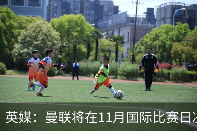 英媒：曼联将在11月国际比赛日决定卡里克去留