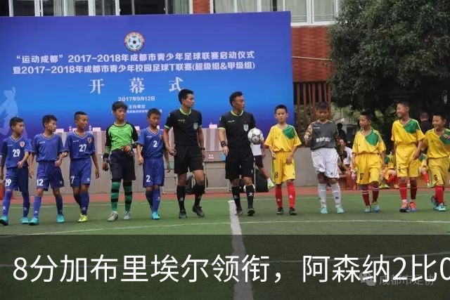 8分加布里埃尔领衔，阿森纳2比0埃弗顿追平曼城积分